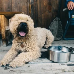 Yeti Coolers BOOMER DOG BOWL - Hundezubehör